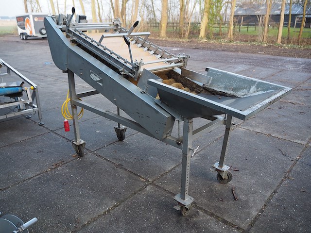 Tibo - afbeelding 3 van  8