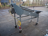 Tibo - afbeelding 4 van  8