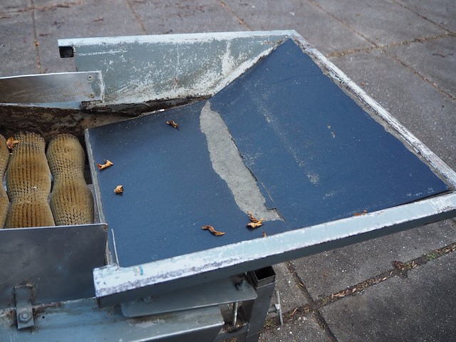 Tibo - afbeelding 5 van  8