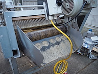 Tibo - afbeelding 7 van  8