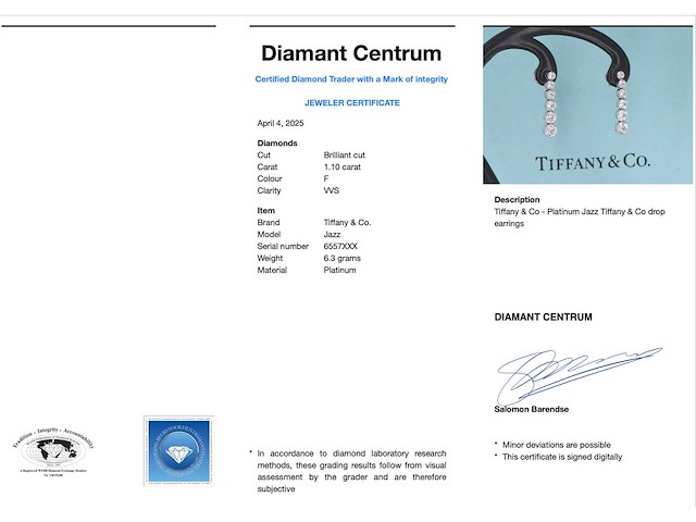 Tiffany & co platina jazz druppel oorbellen - afbeelding 4 van  10