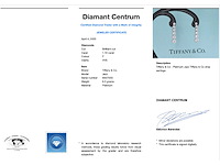 Tiffany & co platina jazz druppel oorbellen - afbeelding 4 van  10