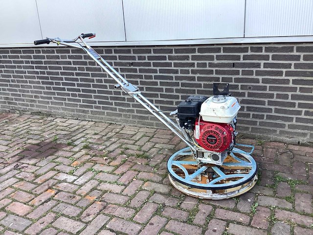 Timmers cementvlinder - afbeelding 1 van  7