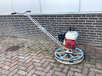 Timmers cementvlinder