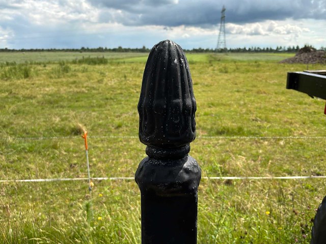 Toeganspoort / sierpoort - afbeelding 4 van  9