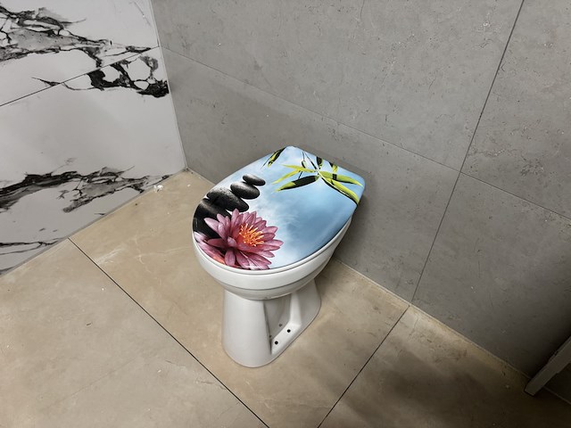 Toilet met spoelbak + gekleurde toiletbril wb - afbeelding 2 van  4