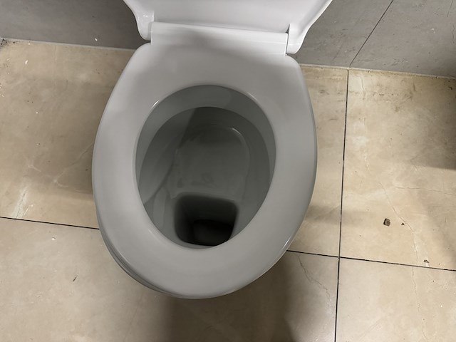 Toilet met spoelbak + witte toiletbril wb - afbeelding 3 van  7