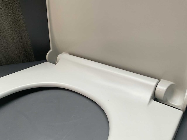 Toiletzitting softclose en uitneembaar mat wit - afbeelding 2 van  5