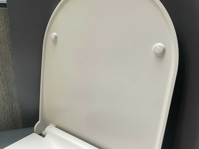 Toiletzitting softclose en uitneembaar mat wit - afbeelding 3 van  5