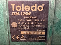 Toledo tsm-125w dubbelsteens slijpmachine - afbeelding 4 van  4