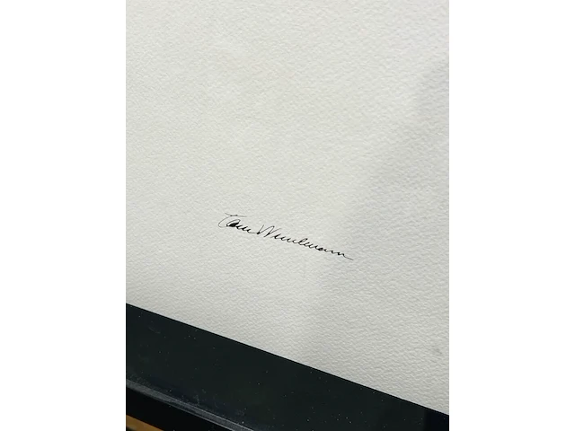 Tom wesselman lithograaf - gesigneerd met certificaat - afbeelding 3 van  6