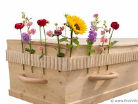 Tomba bloemenband maat m - afbeelding 1 van  3