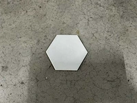 Tonalite hexagon - 16 x 14 cm - wandtegel 19,98 m2