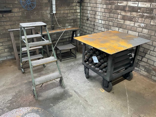 Topstang (30x) - afbeelding 9 van  9