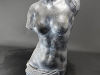 Torso - afbeelding 2 van  5