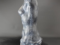 Torso - afbeelding 3 van  5
