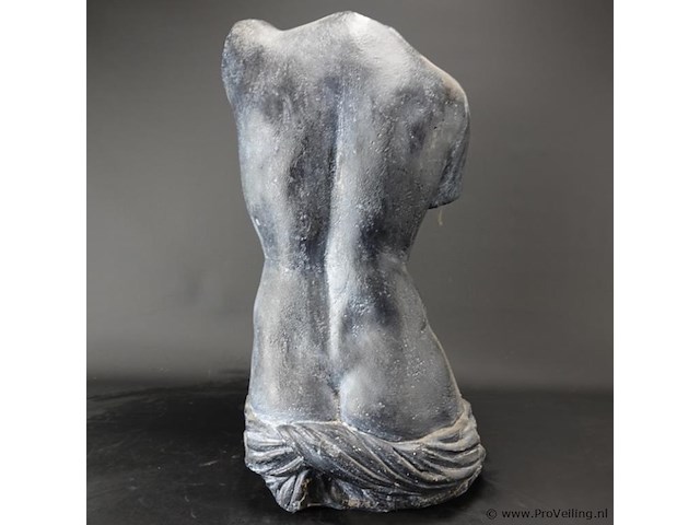 Torso - afbeelding 4 van  5