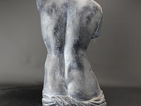 Torso - afbeelding 4 van  5