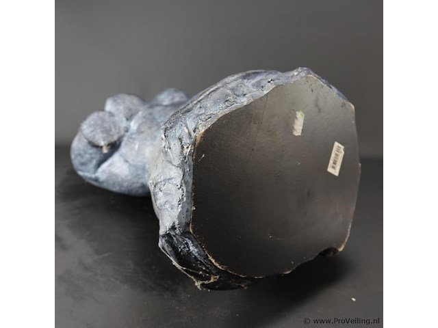 Torso - afbeelding 5 van  5