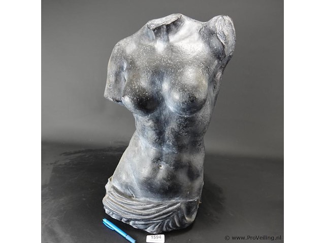 Torso - afbeelding 2 van  5