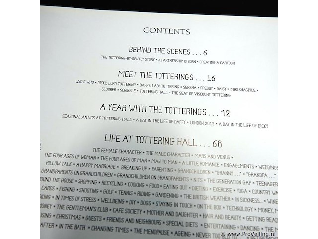 Tottering by gently. the first 20 years - afbeelding 4 van  5