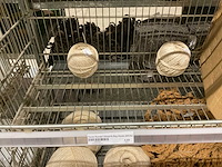 Touw - afbeelding 14 van  25