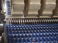 Townsend - afbeelding 12 van  13