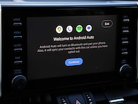 Toyota rav4 2.5 hybrid bi-tone | x-002-bf - afbeelding 5 van  39