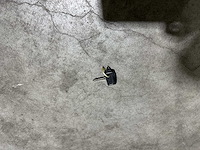 Trabant 601 s de luxe - afbeelding 33 van  39