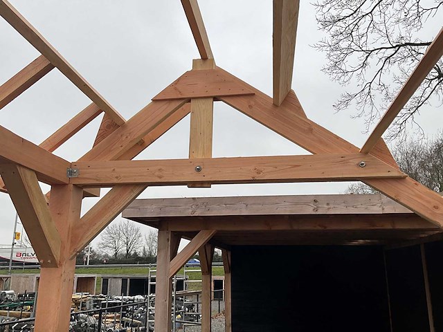 Traditionele douglas kapschuur 1560x360x325 cm - afbeelding 16 van  17