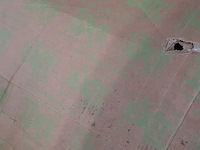 Trampoline, dutch toys group, exit - afbeelding 6 van  7