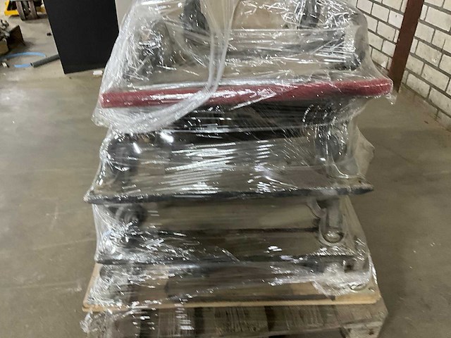 Transport hond (16x) - afbeelding 3 van  4