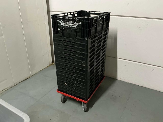 Transport kisten en bakken - afbeelding 1 van  6