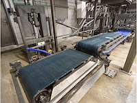 Transportband (13x) - afbeelding 12 van  12