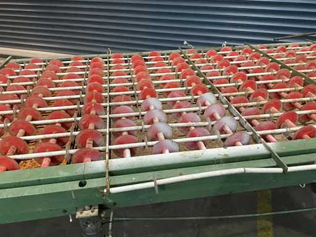 Transportband - afbeelding 3 van  12