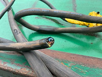 Transportband - afbeelding 5 van  5