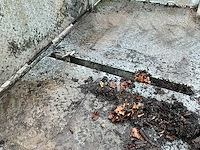 Transportwagen - afbeelding 5 van  20