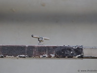 Transportwagen - afbeelding 4 van  4