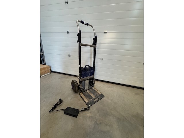 Trappenklimmer, xsto - afbeelding 2 van  5