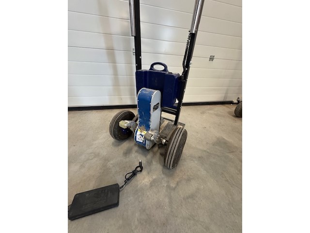 Trappenklimmer, xsto - afbeelding 4 van  5