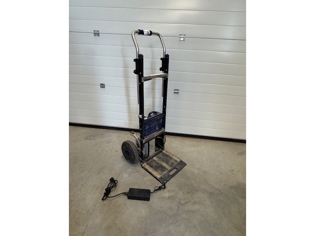 Trappenklimmer, xsto - afbeelding 1 van  5