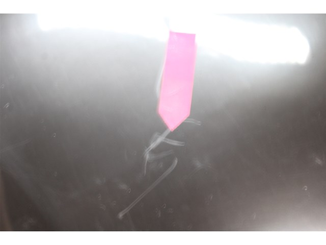 Travellife tl26 thermo-elektrische koelbox 19l antraciet - afbeelding 3 van  3