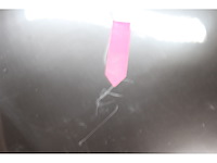 Travellife tl26 thermo-elektrische koelbox 19l antraciet - afbeelding 3 van  3