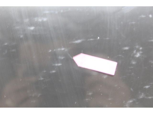 Travellife tl26 thermoelektrische koelbox 19l ac/dc 12v/230v antraciet - afbeelding 3 van  3