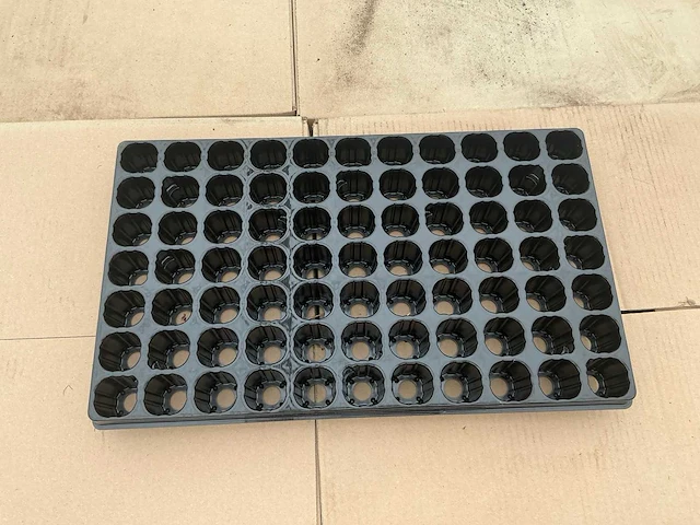 Tray (300x) - afbeelding 2 van  4