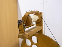 Tredend spinnenwiel - afbeelding 3 van  3