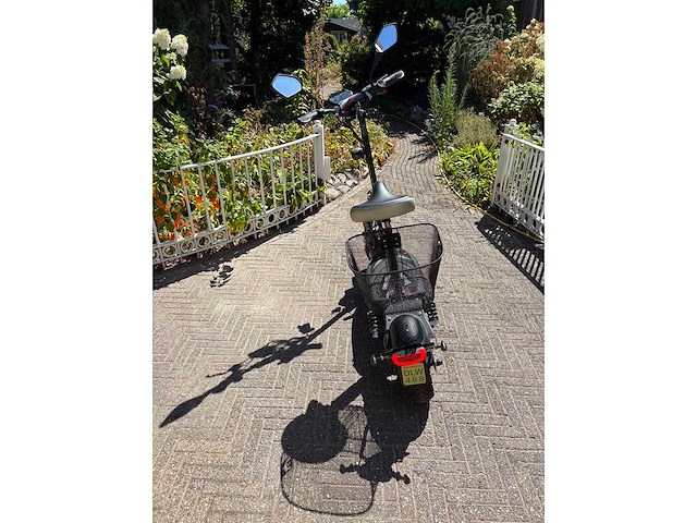 Trendiamo - elektrische fiets/step - met kenteken - afbeelding 1 van  1