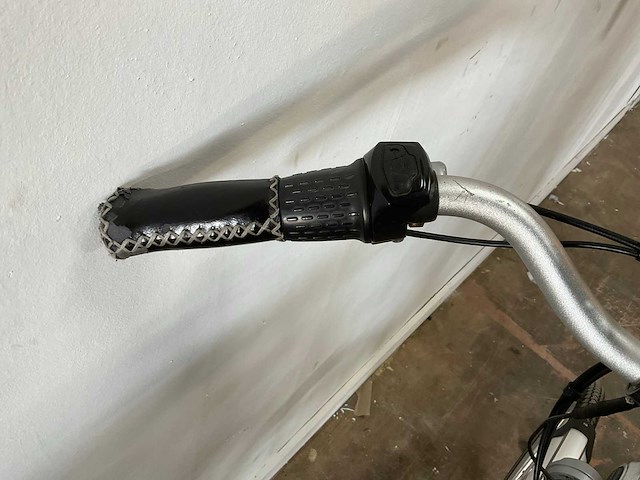 Trenergy e supra elektrische fiets - afbeelding 5 van  17