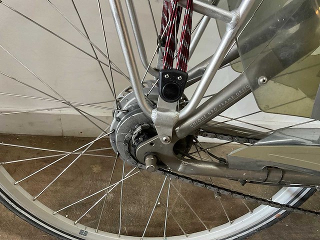 Trenergy e supra elektrische fiets - afbeelding 16 van  17