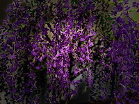 Treurwilg kunstboom - afbeelding 3 van  21